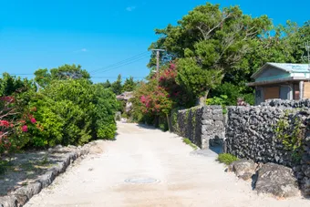 Traditional village houses featuring well-preserved architecture that is truly representative of Okinawa.