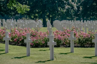Tranquil view of the cemetery with white crosses and blooming roses, honoring fallen soldiers.