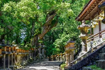 Kasuga Taisha is a major Shinto shrine in Nara, founded in the 8th century and famous for its thousands of stone and bronze lanterns. It is set within a sacred forest, creating a calm and spiritual atmosphere.