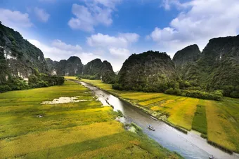 Explore a tranquil river winding through lush green rice fields and towering karst mountains.