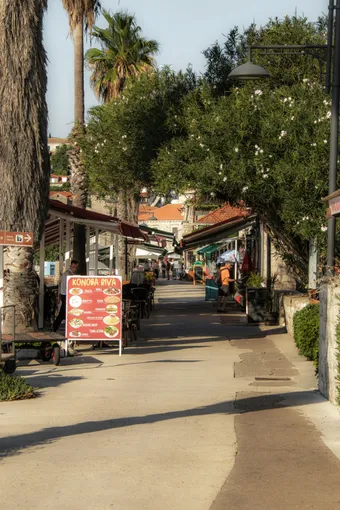Lively alley in Croatia, lined with traditional konobas and shaded terraces, where palm trees and stone façades create a warm Mediterranean atmosphere. The setting invites leisurely strolls and the discovery of local cuisine in an authentic environment.