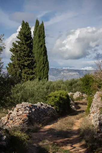 This UNESCO-listed rural landscape, with cypress trees and olive groves, reflects the island of Hvar’s ancient agricultural heritage and timeless serenity.