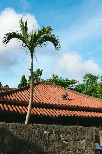 The roofs of houses in Taketomi are covered with traditional red tiles, often weighted down with stones to withstand the frequent typhoons in the region. This architecture, preserved under strict conservation rules, reflects both adaptation to the local climate and the unique cultural heritage of the Yaeyama Islands.