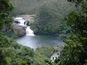 The waterfalls of Iriomote-jima are hidden deep within a dense, well-preserved jungle and are often reached after a hike or a boat trip along the island’s rivers. Fed by the island’s humid tropical environment, they form natural pools surrounded by lush vegetation, enhancing the area’s wild and remote atmosphere.