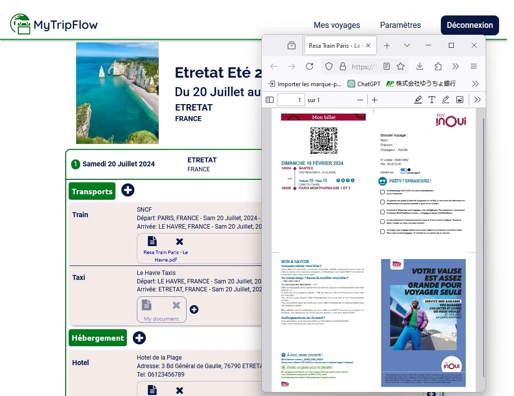 Direct access to travel documents